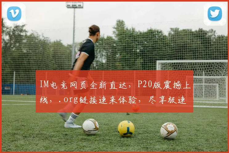 IM电竞网页全新直达，P20版震撼上线，.org链接速来体验，尽享极速畅游