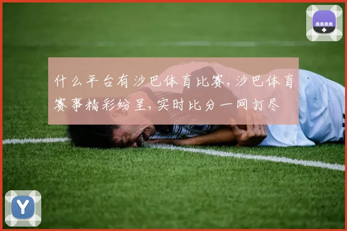 什么平台有沙巴体育比赛,沙巴体育赛事精彩纷呈,实时比分一网打尽