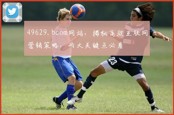 49629.bcom网站，揭秘高效互联网营销策略，两大关键点必看