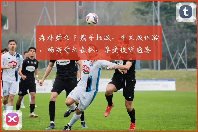 森林舞会下载手机版，中文版体验，畅游奇幻森林，享受视听盛宴