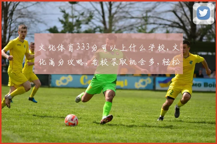 文化体育333分可以上什么学校,文化高分攻略,名校录取机会多,轻松提升就业竞争力