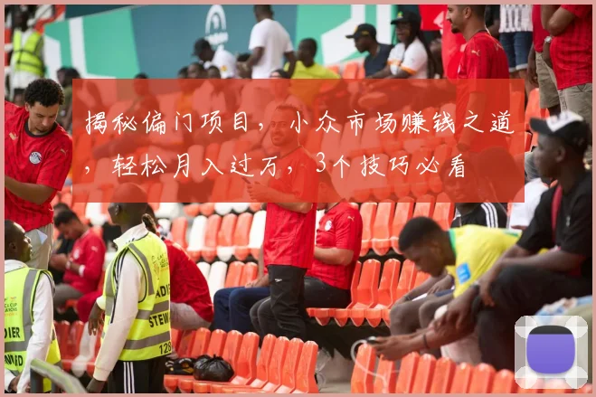 揭秘偏门项目，小众市场赚钱之道，轻松月入过万，3个技巧必看