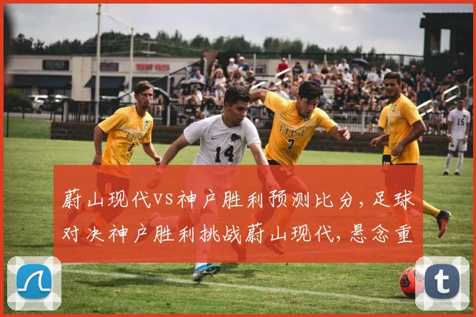 蔚山现代vs神户胜利预测比分,足球对决神户胜利挑战蔚山现代,悬念重重