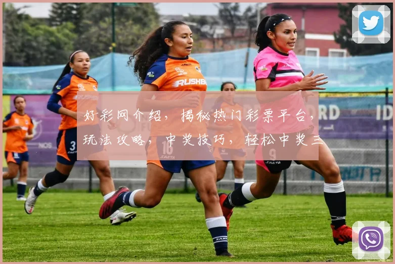 好彩网介绍，揭秘热门彩票平台，玩法攻略，中奖技巧，轻松中奖三步走，不容错过